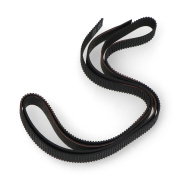Y Belt