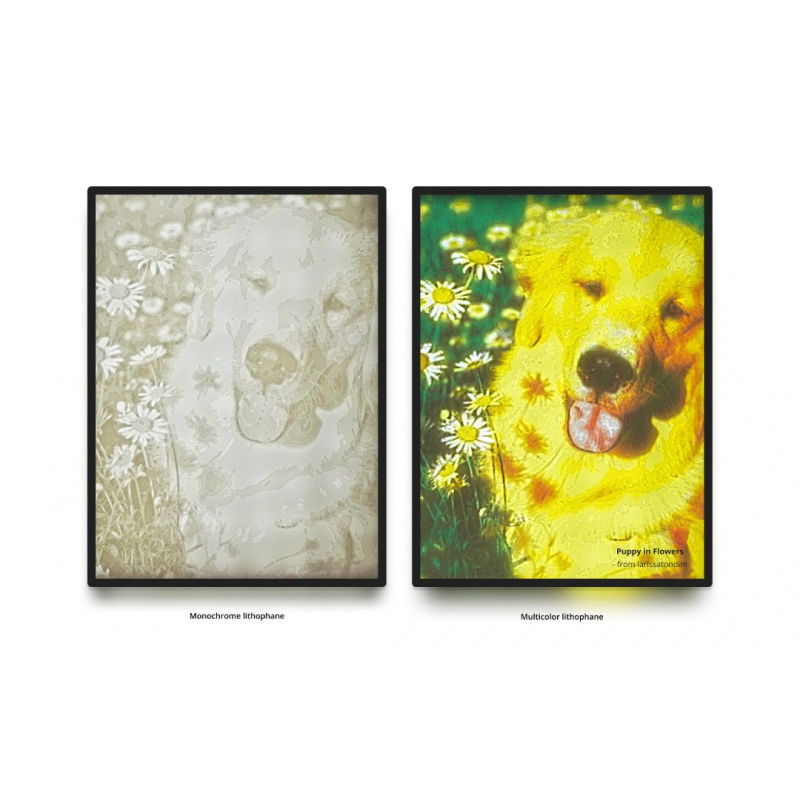 Bambu Backlight Board