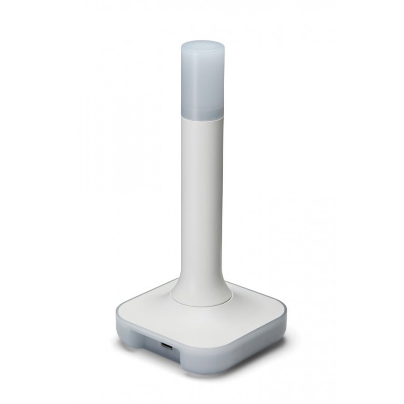 HA Connect ZBT-2
