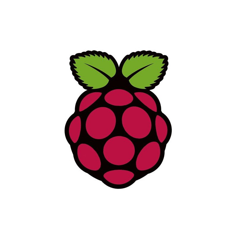 Raspberry Pi model B.
