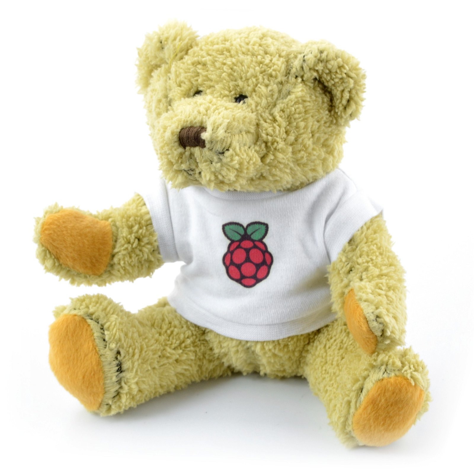 Medvědí mládě s logem Raspberry Pi