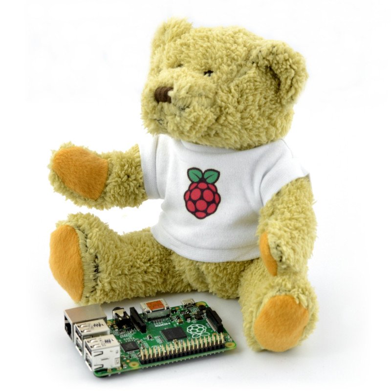 Medvědí mládě s logem Raspberry Pi
